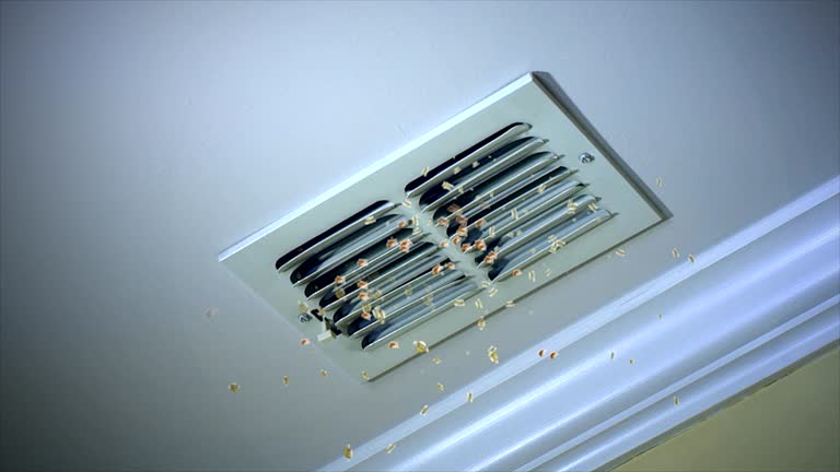 Best Best Air Duct Cleaning Near Me  in Brier, WA