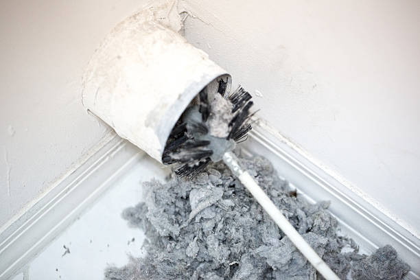 Best Local Air Duct Cleaning Services  in Brier, WA
