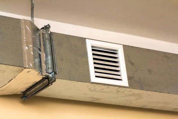 Best HVAC Duct Inspection Services  in Brier, WA
